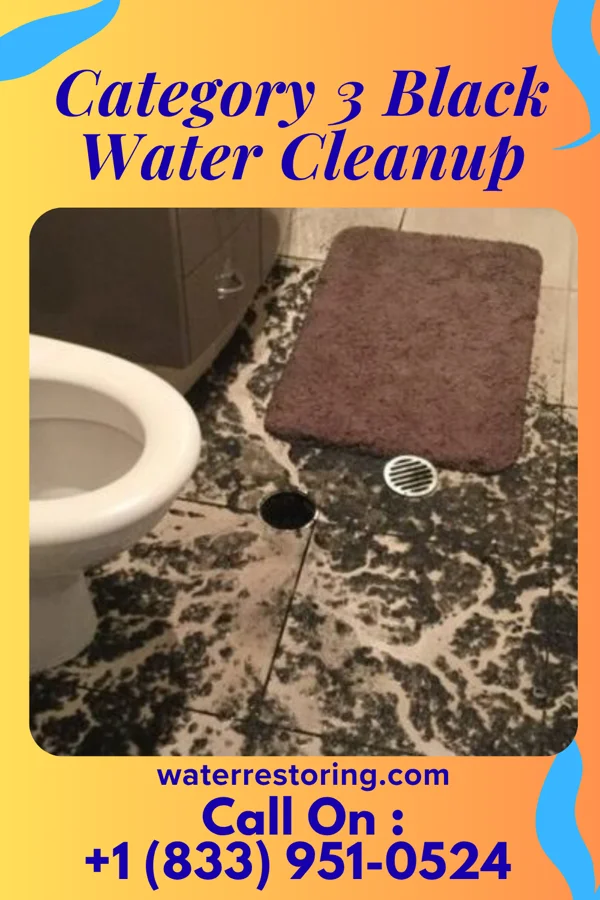 Category 3 Black Water Cleanup in Ayden, NC