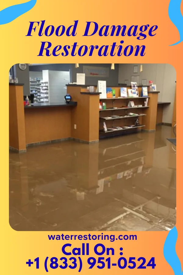 Flood Damage Restoration in Ayden, NC
