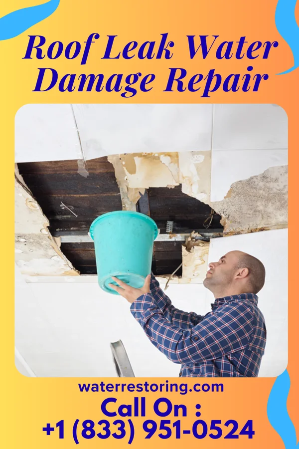 Roof Leak Water Damage Repair in Ayden, NC